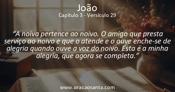 João 3:29