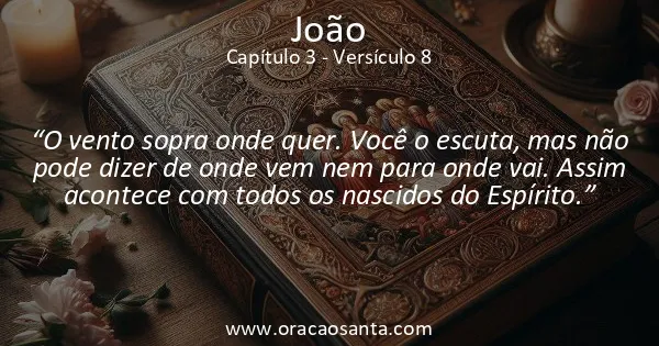 João 3:8