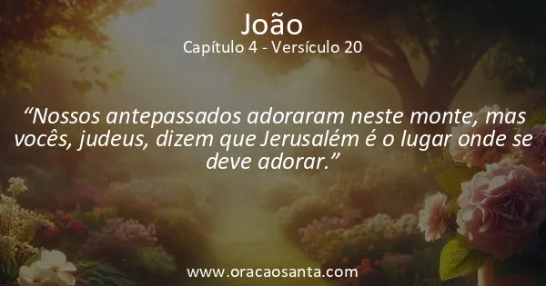 João 4:20