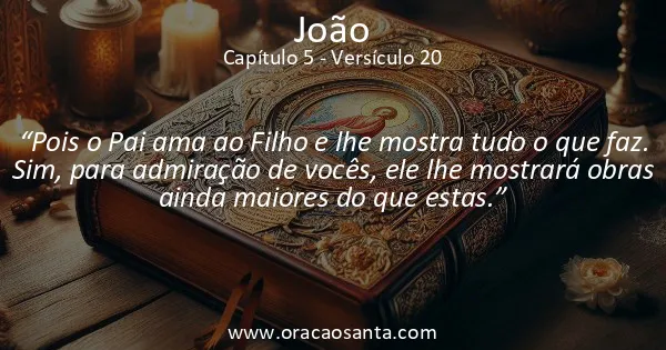 João 5:20