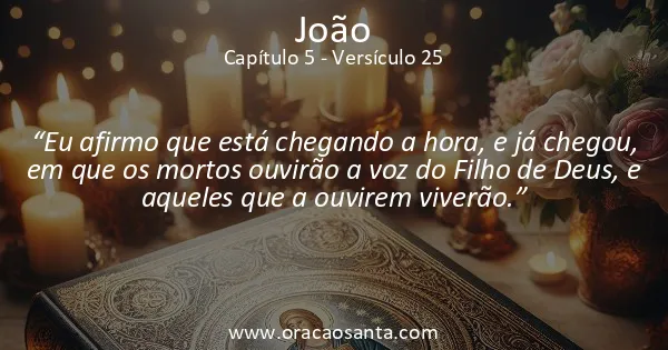 João 5:25