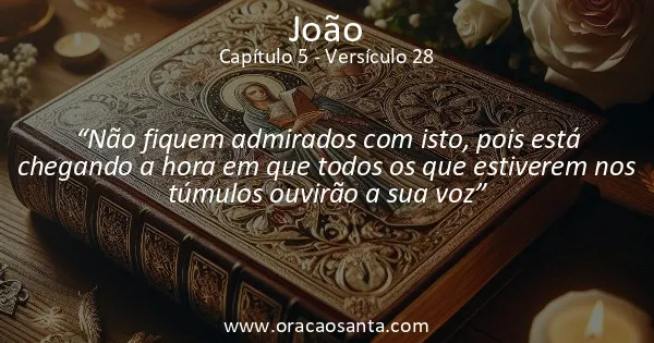 João 5:28