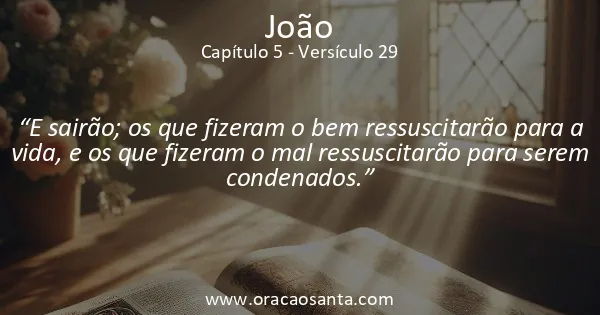 João 5:29