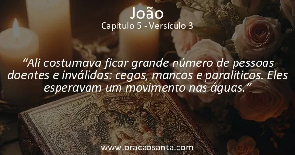 João 5:3