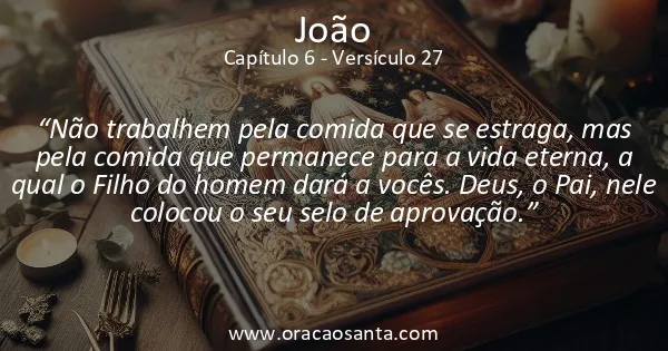 João 6:27