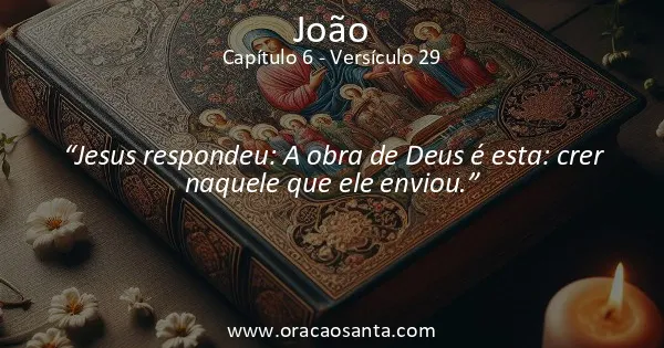 João 6:29