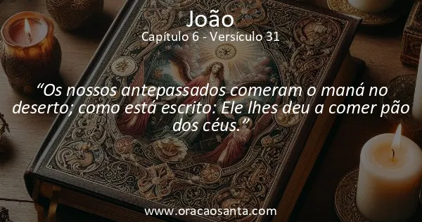 João 6:31