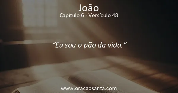 João 6:48