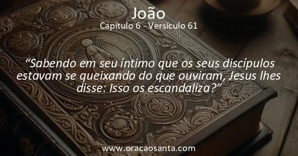 João 6:61