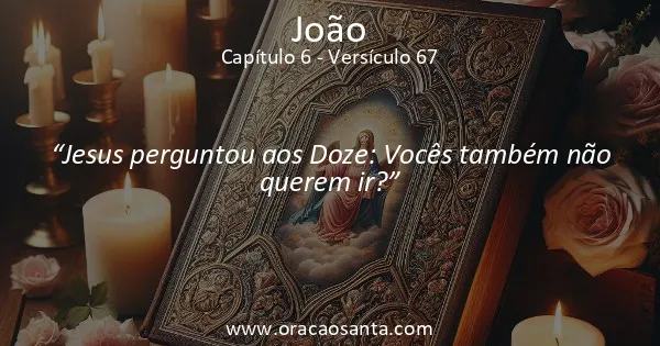 João 6:67