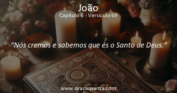 João 6:69