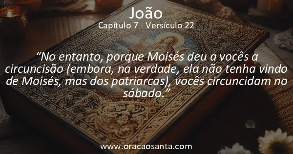 João 7:22