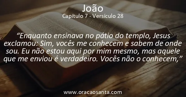 João 7:28