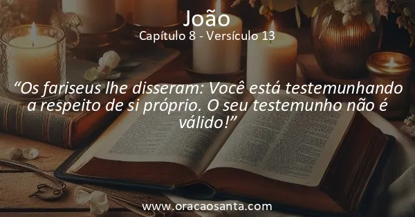 João 8:13