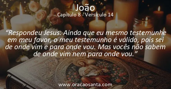 João 8:14