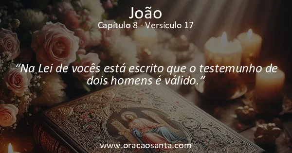 João 8:17
