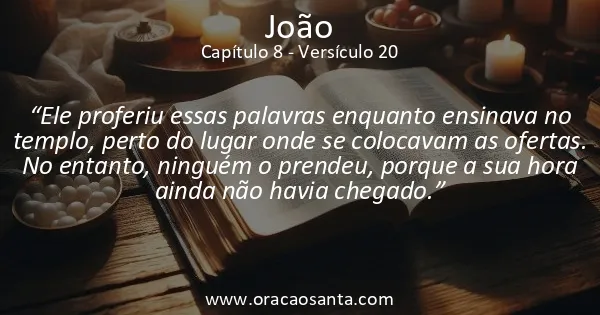 João 8:20