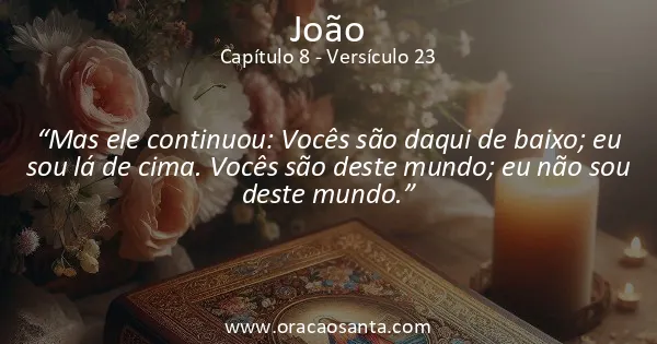 João 8:23