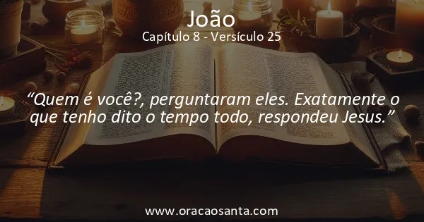 João 8:25