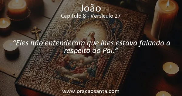 João 8:27