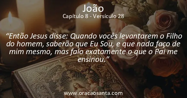 João 8:28