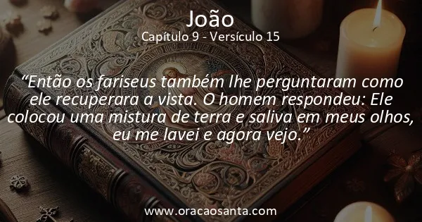 João 9:15