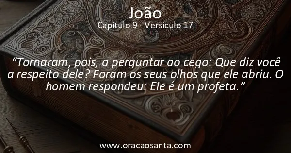 João 9:17