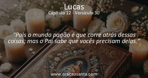 Lucas 12:30