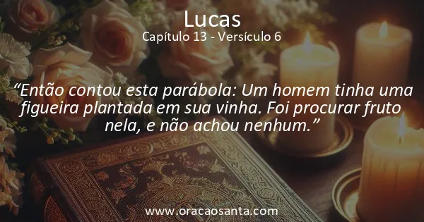 Lucas 13:6