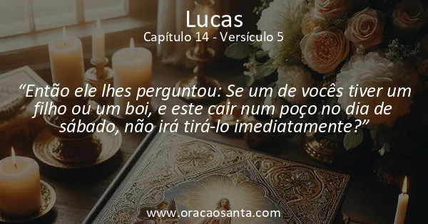 Lucas 14:5