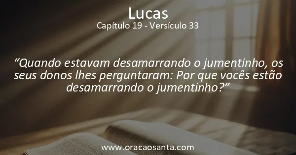 Lucas 19:33