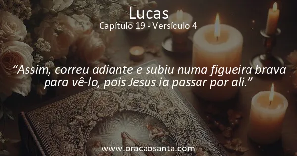 Lucas 19:4