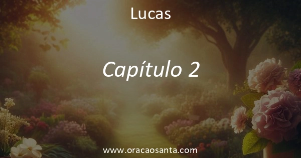 Lucas 2