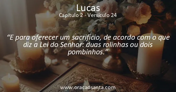 Lucas 2:24