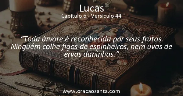 Lucas 6:44