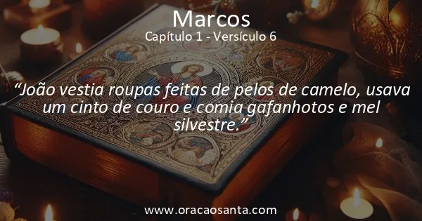 Marcos 1:6