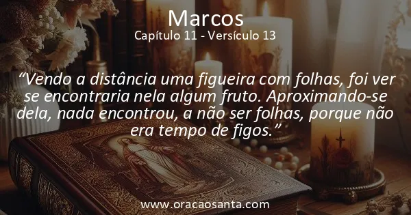 Marcos 11:13