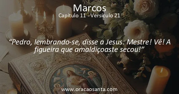 Marcos 11:21