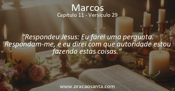 Marcos 11:29