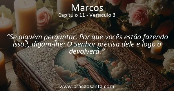 Marcos 11:3