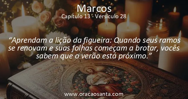 Marcos 13:28