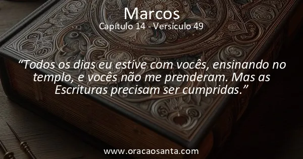 Marcos 14:49