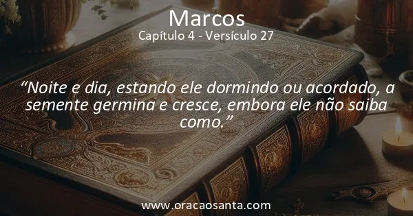 Marcos 4:27