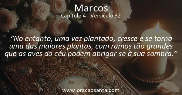 Marcos 4:32