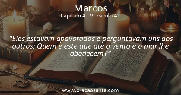 Marcos 4:41