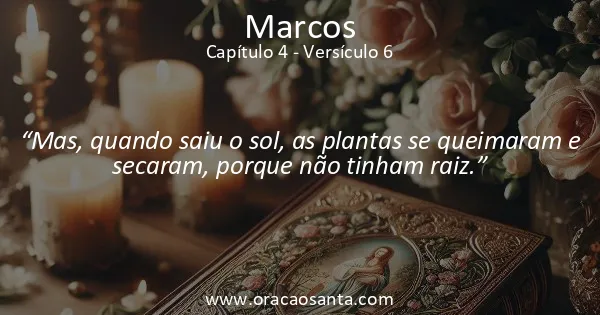 Marcos 4:6