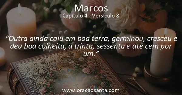 Marcos 4:8