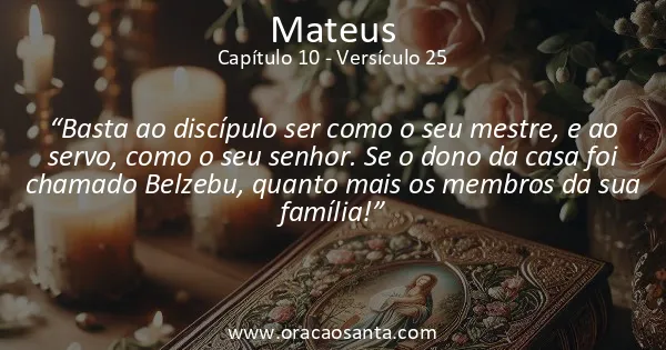 Mateus 10:25