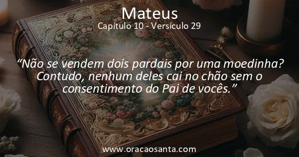 Mateus 10:29