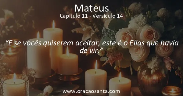 Mateus 11:14
